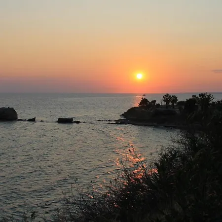 Loft Konstantinidis 尼坡帝